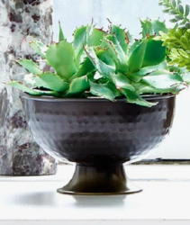 Cuenco de Cobre de Alta Calidad con Base de Bronce Martillado a Mano – Cuenco Metálico con Pedestal para Suculentas y Plantas - Product Image 3