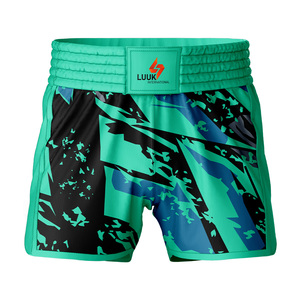 Wholesale Custom Muay Thai <b>Shorts</b> Premium Satin <b>Kickboxing</b> Fight <b>Shorts</b> Embroidered Logo OEM MMA Factory Supplier - Product Image 5