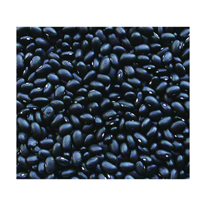 Productos Destacados: Frijoles Negros en Lata, 100% Orgánicos, Proceso Seguro, Empaque Personalizado - Product Image 6