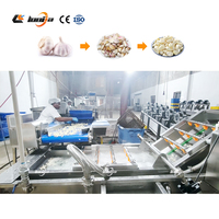 100KG 300KG par heure prix usine 304 ligne de production de traitement d'ail en acier inoxydable commercial ligne de production de pâte d'ail