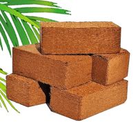 Blocs de fibre de coco de haute qualité 650 grammes à faible teneur en EC, biodégradables et écologiques pour le jardinage, l'agriculture hydroponique et l'agriculture en Inde
