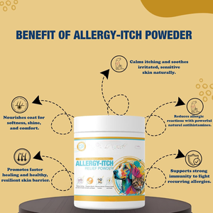 OEM ODM Supplément Naturel Anti-Démangeaisons à Absorption Rapide pour Chiens et Chats, Sans Allergènes (Zinc), pour la Santé de la Peau et du Pelage, et le Renforcement Immunitaire - Product Image 4
