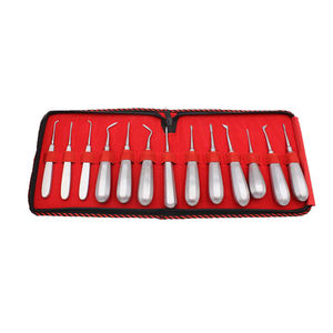ชุดเครื่องมือถอนรากฟันแบบโค้ง 13 ชิ้น ทำจากสแตนเลสสตีล สำหรับมืออาชีพ - Product Image 3