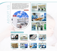 Sucettes en silicone de qualité alimentaire pour bébés, motifs animaux et lettres, tétines 0-12 mois, faible MOQ, styles tête ronde et tête plate