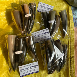 Punta de Cuerno de Búfalo Natural, Color Natural, Alta Calidad - Product Image 1