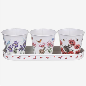 Fournitures de jardin : Pots en zinc imprimés avec autocollants émaillés pour fleurs de jardin, pour la maison, les hôtels et les restaurants - Product Image 6