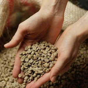 Granos de Café Robusta Tostados Premium S16, Fabricante de Café Premium para Exportación, Distribución para Supermercados y Tiendas de Comestibles - Product Image 4