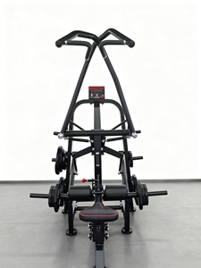 Máquina de remo con carga de placas <span class=keywords><strong>para</strong></span> ejercitar hombros, brazos <span class=keywords><strong>y</strong></span> músculos centrales, tipo Super Lat Pulldown <span class=keywords><strong>y</strong></span> Low Row Trainer - Product Image 4
