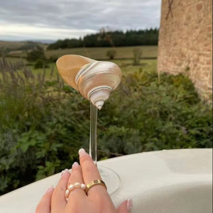 Shell Craft SeaShell <b>Wine</b> Glasses Personalized Wedding Bridesmaid Gifts Bridal Gift-Giving Events Party <b>Goblets</b> Anniversary Gift - Product Image 1