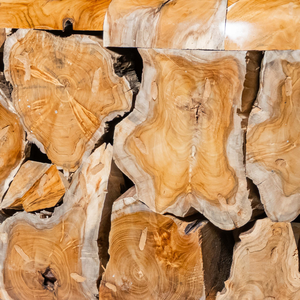 Mesa de Centro de Madera Rústica Hecha a Mano de Lujo ARTERRA, Diseño de Raíz de Teca Natural, Mueble Moderno para Sala de Estar, No Plegable - Product Image 5