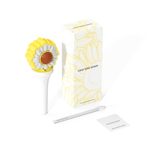 CHAE JONG HYEOP-01 Official Music <b>LED</b> Light Stick PC Material for Room Usage for Living Room - Product Image 1