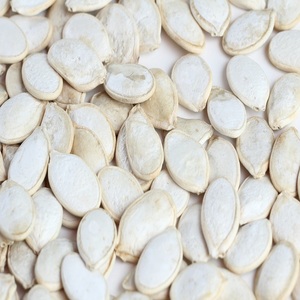 Graines de citrouille décortiquées et entières pour collations nutritives, produits de boulangerie, recettes culinaires, transformation alimentaire et marchés commerciaux - Product Image 5