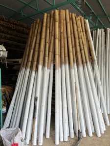 Poteaux en bambou naturel bruts durables pour le soutien des plantes grimpantes dans le jardinage et l'agriculture - Product Image 1