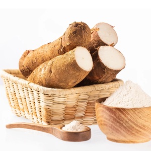VIETNAMESE NATURAL ARROWROOT POWDER – CLEAN LABEL FOOD INGREDIENT WHOLESALE - Product Image 1