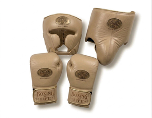 Protective Training <b>Boxing</b> <b>Set</b> with Head Guard and Padded Gloves for Athletes Gym Sessions and Daily Practice - Product Image 2