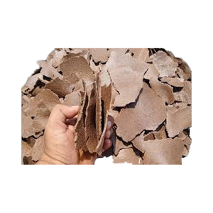 Exportadores y proveedores mayoristas de pastel de cacahuete de alta calidad que se utiliza para la alimentación animal contiene proteínas y minerales - Product Image 1