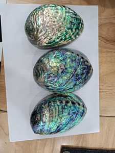 Polished Green <b>Abalone</b> <b>Shell</b> Vietnam for Jewelry Making Craft Inlay Decorative Art and Handmade Accessories Wholesale - Product Image 5