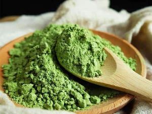 Polvo de Hoja de Centella Asiática Deshidratada al por Mayor, Superalimento Verde para Bebidas Detox - Product Image 1