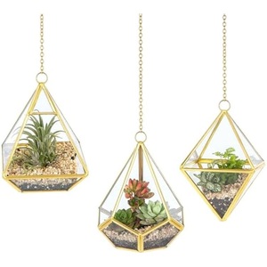 Maceta Geométrica de Cristal Negro Popular para Suculentas y Plantas Aéreas - Decoración Artística Ecológica para el Hogar/Oficina, Regalo de Boda - Product Image 5