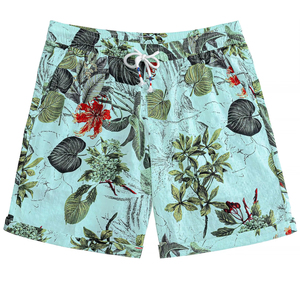 Men Spring <b>Shorts</b> Tropical Print Elastic Waist Drawstring Beach Summer Casual Holiday Colorful Lightweight top mens summer beach - Product Image 1