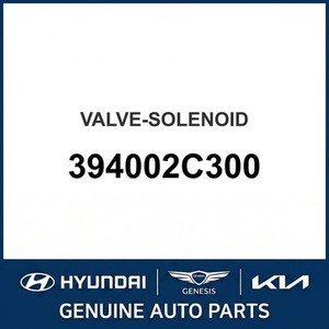 วาล์วใหม่ G70 รุ่น 394002C300 - Product Image 1