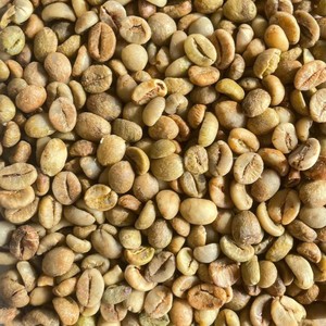 Granos de Café Verde Robusta a Granel, Proceso Honey, Bajo Contenido de Negro y Partículas Rotas, Materia Prima para Tostar, Nueva Cosecha, Origen de la Granja Dak Lak, Vietnam - Product Image 4