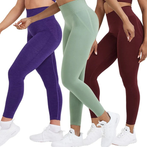 Women's High Waist Slimming Breathable Spandex/<b>Nylon</b> Gym Fitness Sweat Pants <b>Leggings</b> for Exercise - Product Image 1