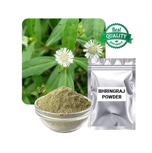 Poudre de Bhringraj pure à base de plantes pour la beauté naturelle et le soutien au bien-être, la poudre de Bhringraj est largement utilisée dans les formulations ayurvédiques - Product Image 2
