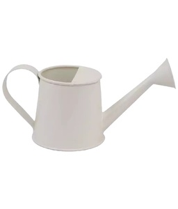 Arrosoir en fer galvanisé pour la maison et le jardin, Pot d'arrosage décor, outil d'arrosage avec pichet et finition chromée, offre spéciale, - Product Image 1