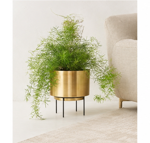 Macetero Moderno de Metal Dorado con Soporte de Hierro Negro, Maceta Redonda de Lujo para Jardín Interior y Decoración del Hogar - Product Image 4