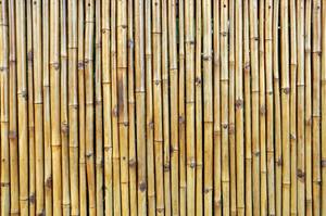 Valla de Bambú de Alta Calidad – Valla de Jardín Duradera, Ecológica, Precio Competitivo // Sr. Tom - Product Image 3