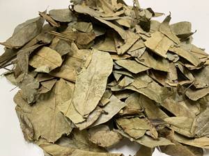 Soursop séché-Feuilles de soursop séchées de qualité supérieure de Nature 2024 - Product Image 6