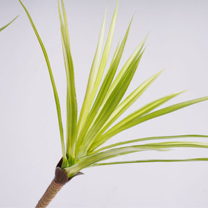 Fournisseur en gros de plantes artificielles en plastique vert Sansevieria H185cm, écologiques, pour l'intérieur, l'extérieur, le balcon, le <span class=keywords><strong>jardin</strong></span> - Product Image 3