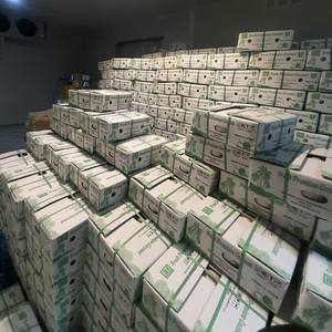 น้ำมะพร้าวสดพร้อมวิตามินอาหารและเครื่องดื่มที่ดีต่อสุขภาพผลิตจากผู้ผลิตเวียดนาม - Product Image 6