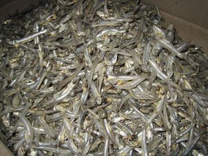 Natural Seafood Product Dried Anchovies with Authentic Taste, Suitable for Various Cooking Styles and Food Recipes - Product Image 5