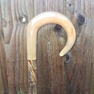 Bastón Redondo de Diseño Moderno y Elegante, Hecho a Mano con Materiales Orgánicos, Mango Tallado, Impermeable, para Médicos y Personas Mayores, India - Product Image 2