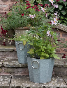 Meilleures ventes : Jardinière en métal galvanisé avec poignées pour la décoration intérieure et extérieure du jardin, pot à fleurs et jardinière - Product Image 2