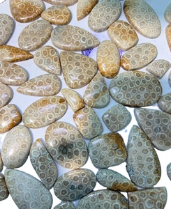 Coral Fósil Natural, Cabujón de Cristal Pulido, Gemas Minerales de Alta Calidad, Formas Mixtas, Materiales a Granel para la Fabricación de Joyería - Product Image 1