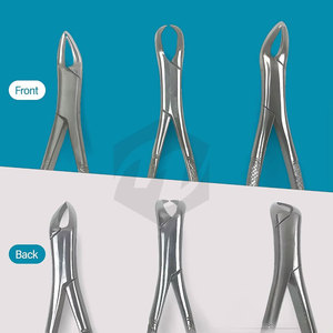Juego de 3 Pinzas de Extracción Dental de Acero Inoxidable de Alta Resistencia # 150 # 151 # Instrumentos Quirúrgicos para Molares Inferiores con Punta de Cuerno de Vaca MOL - Product Image 6
