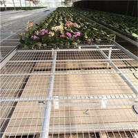Table de travail de serre multi-usages réglable en hauteur, en treillis métallique galvanisé résistant à la corrosion, grande taille, pour semis