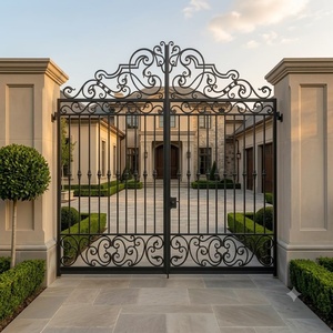 Puerta Doble de Hierro Forjado a Mano con Recubrimiento en Polvo, Estilo Europeo, con Diseño Floral para Uso Exterior - Product Image 4