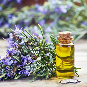 Huile capillaire à la rosemarie 100% pure et naturelle de qualité supérieure pour des cheveux sains, une nutrition du cuir chevelu et une croissance capillaire optimale au meilleur prix, provenant d'Inde. - Product Image 2