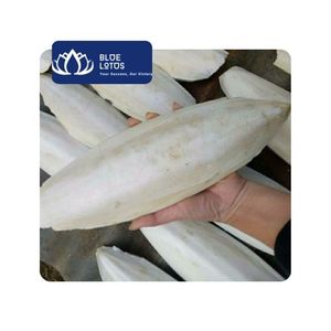 [VENTA CALIENTE] Hueso de Sepia Natural Blue Lotus para Enriquecimiento de Jaulas de Aves, Caja de Masticación Diaria, Tamaños de 3-15cm, Exportación - Product Image 1