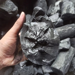 Charbon de tamarin 100% bois dur, prêt à être chargé depuis l'usine en Indonésie pour les restaurants BBQ - BIWOOD COMPANY - +84 911 379 511 - Product Image 1