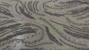 Tela de Lentejuelas Metálicas con Cuentas Geométricas y Brillo Personalizado, Color Oro Rosa, para Confección de Vestidos de Fiesta de Alta Gama para Mujer - Product Image 3