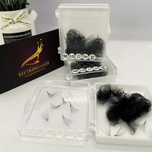 Extensiones de Pestañas Promade Hechas a Mano, 10D, Grosor 0.03/0.05/0.07, Curvatura C/CC/D/DD/M/L, Longitud 7-25mm, Base Puntiaguda, Logotipo Personalizado - Product Image 1