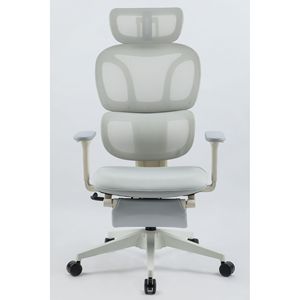 Sedia da Ufficio Ergonomica con Schienale Alto, Supporto Lombare Dinamico, Poggiatesta 2D, Braccioli 2D e Poggiapiedi - Product Image 3