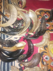 Shofar de Cuerno de Kudú Kosher, Hecho a Mano en India, Pulido, Religioso, de Alta Calidad, Estilo Musical Tradicional, Animal - Product Image 3