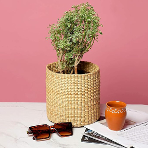 Top Trending Round Woven Rattan Serving Basket For Plant Usage Basket Custom Size Home Office Decoration Reasonable Price Basket - Product Image 2