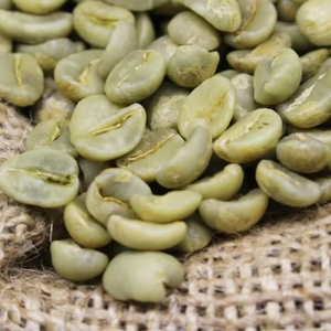 Vietnam Specialty Arabica Green <b>Coffee</b> <b>Beans</b> Size 16, Moisture 12.5% Max, USDA Certified, Bulk Wholesale Export from Farm - Product Image 1